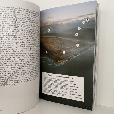 FROM MOUNTAINS TO SEA: The Story of Westland National Park