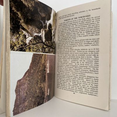 UREWERA NATIONAL PARK: Handbook