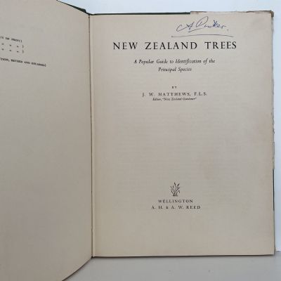 NEW ZEALAND TREES