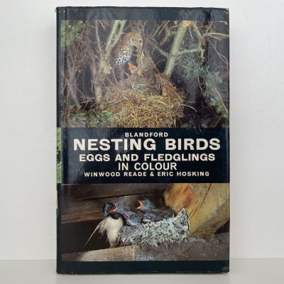 NESTING BIRDS, EGGS AND FLEDGLINGS in Colour