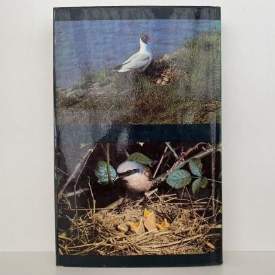 NESTING BIRDS, EGGS AND FLEDGLINGS in Colour
