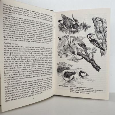 NESTING BIRDS, EGGS AND FLEDGLINGS in Colour