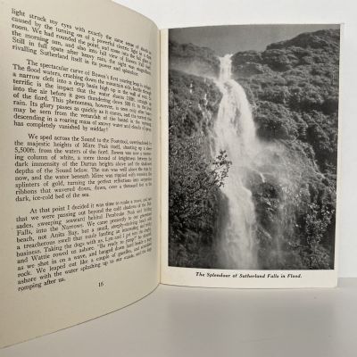 Fun in Fiordland