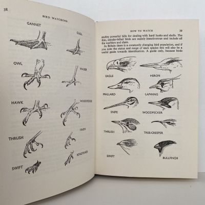 BIRD WATCHING: Newnes Beginners Guide