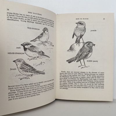 BIRD WATCHING: Newnes Beginners Guide