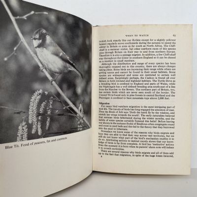 BIRD WATCHING: Newnes Beginners Guide