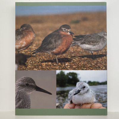 SHOREBIRDS of New Zealand : Sharing the Margins