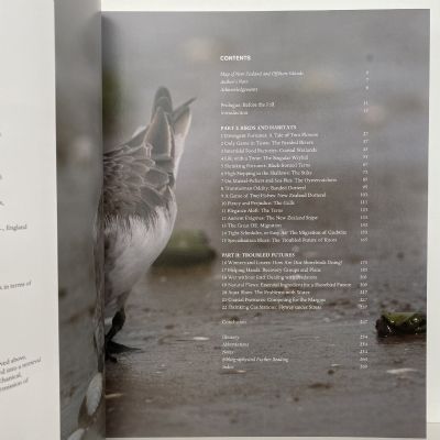 SHOREBIRDS of New Zealand : Sharing the Margins