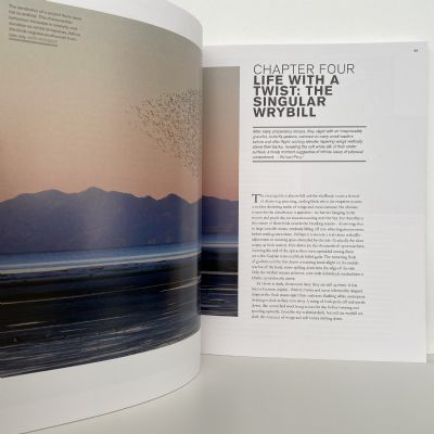 SHOREBIRDS of New Zealand : Sharing the Margins