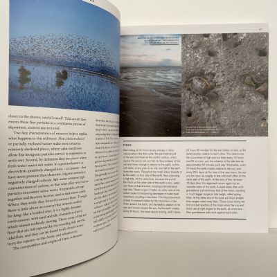 SHOREBIRDS of New Zealand : Sharing the Margins