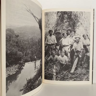 THE WAITAKERE BALLADS