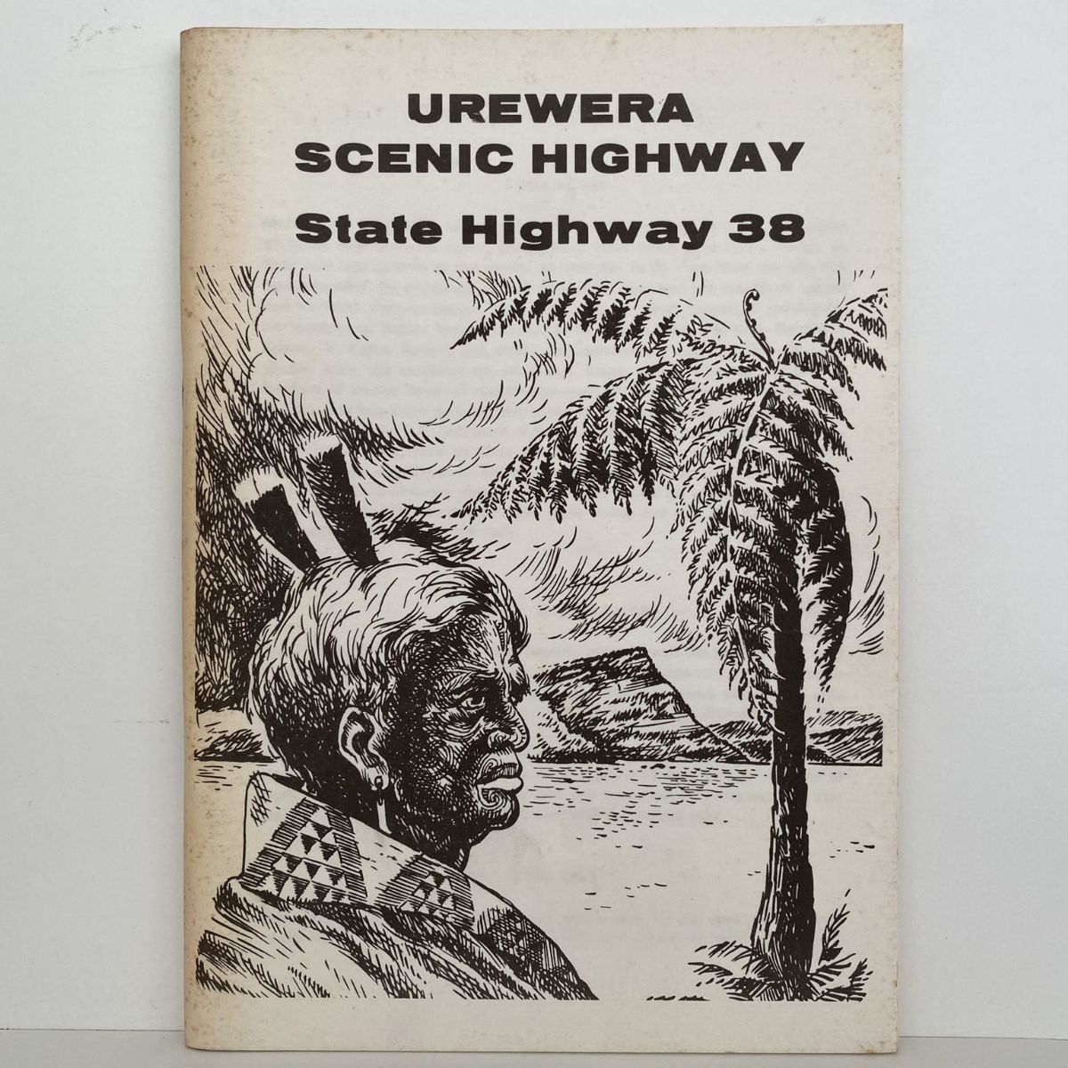 UREWERA SCENIC HIGHWAY: State Highway 38