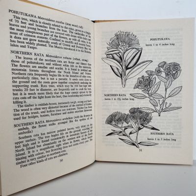 NATIVE TREES