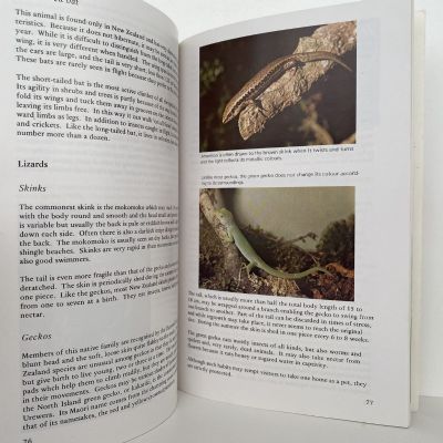 LAND OF THE MIST: The Story of Urewera National Park