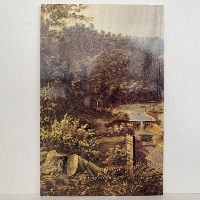 A Pictorial History of West Auckland