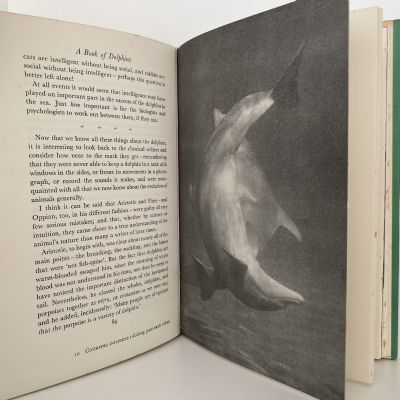 A BOOK OF DOLPHINS