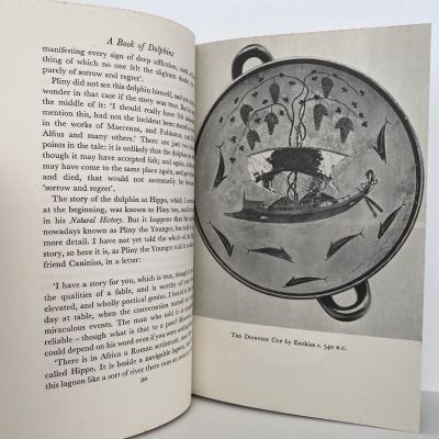 A BOOK OF DOLPHINS