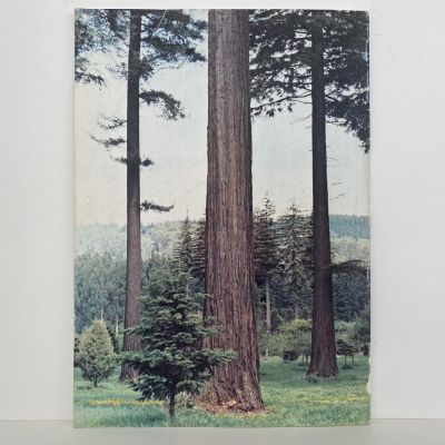 WHAKAREWAREWA Forest Park