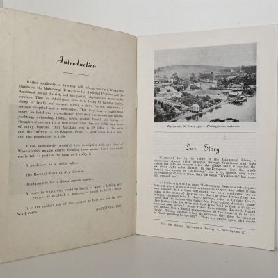 WARKWORTH: The Kowhai Town