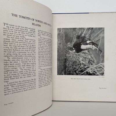 NEW ZEALAND BIRD LIFE