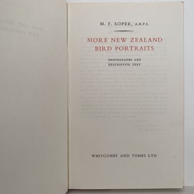 MORE NEW ZEALAND BIRD PORTRAITS