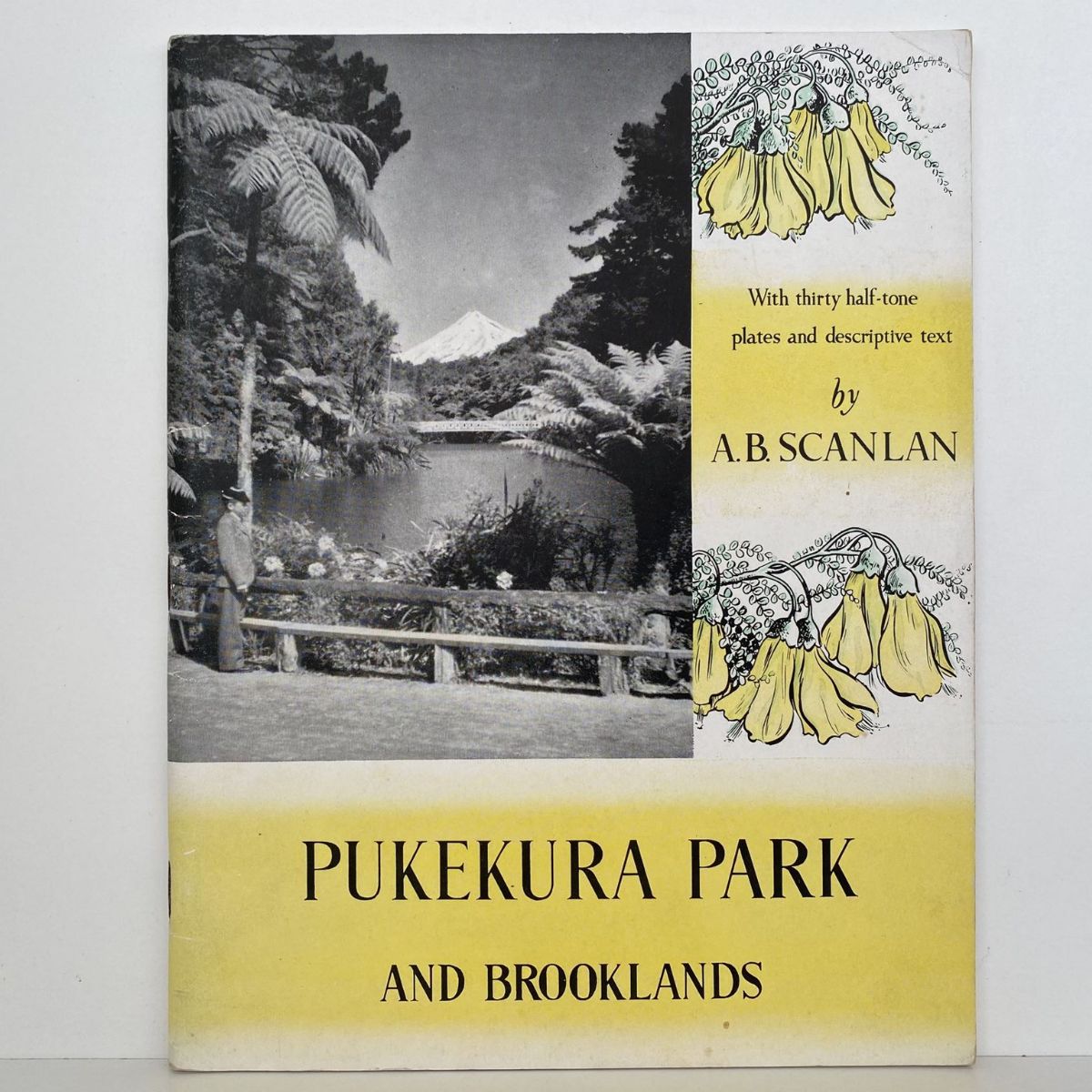 PUKEKURA PARK and BROOKLANDS