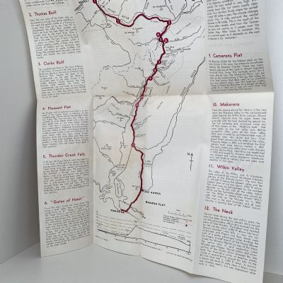 HAAST PASS HIGHWAY through Mount Aspiring National Park