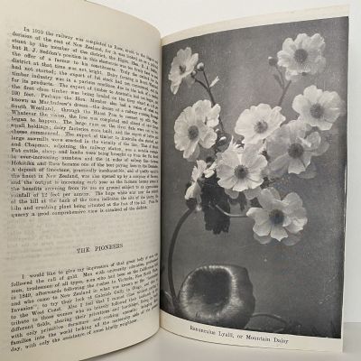A SOUVENIR of WESTLAND