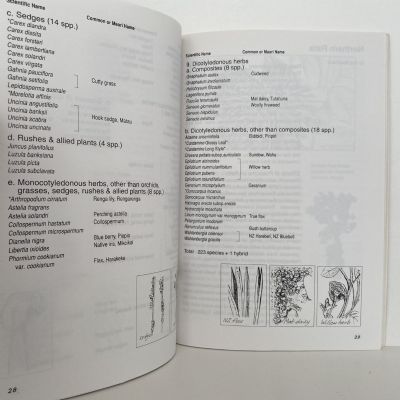 BUTTERFLY CREEK: Visitors Guide to the Forests around Wainuiomata