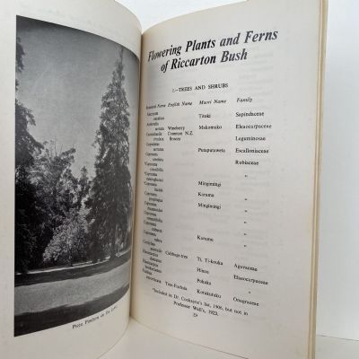 RICCARTON BUSH and RICCARTON HOUSE RESERVE
