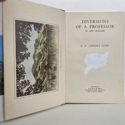 Diversions of a Professor in New Zealand