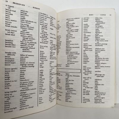 A DICTIONARY OF MODERN MAORI