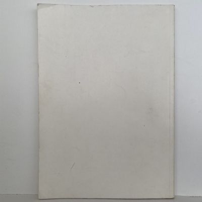FLYING MARINES: A Record of Royal Marine Aviators