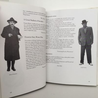 The illustrated WOODY ALLEN READER