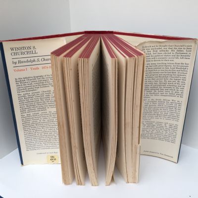  Winston S. Churchill Volume I Youth 1874-1900