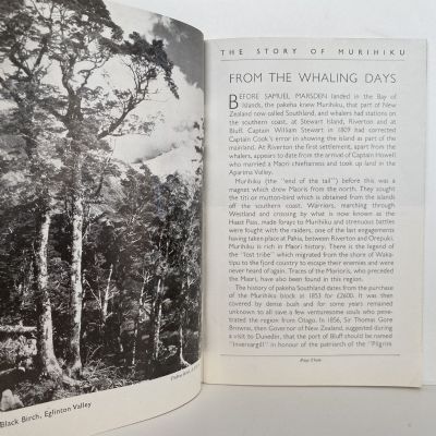 INVERCARGILL: The City of the South - Guide Book