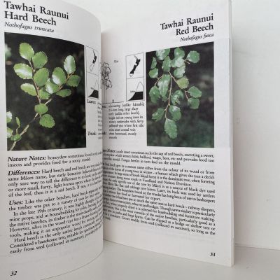 WHICH NATIVE TREE? A Guide to the Identification of New Zealand Native Trees