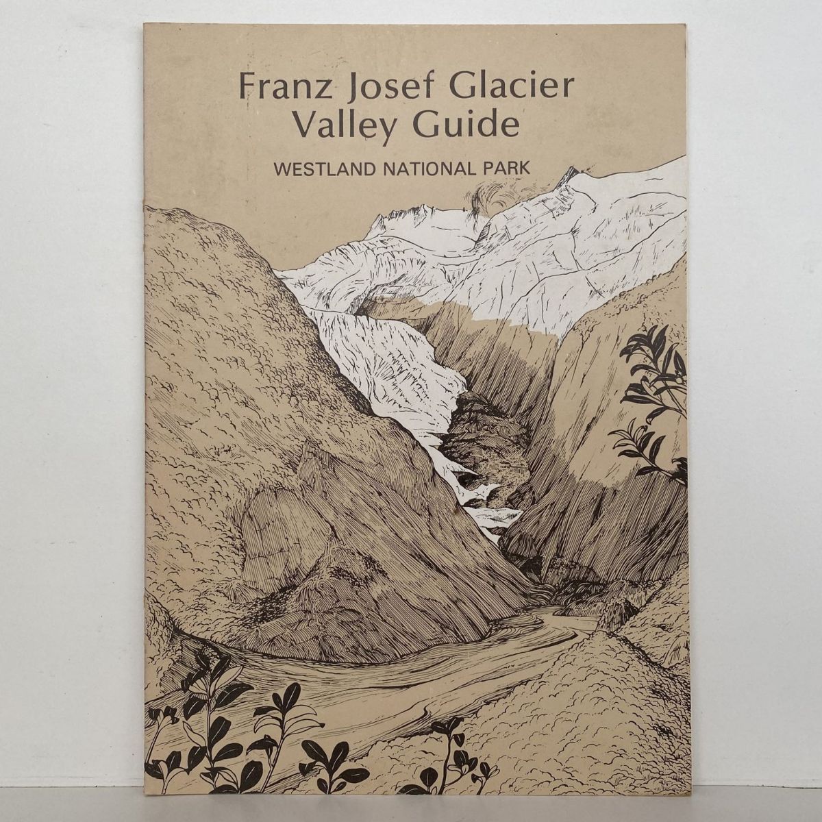 Franz Josef Glacier Valley Guide - Westland National Park