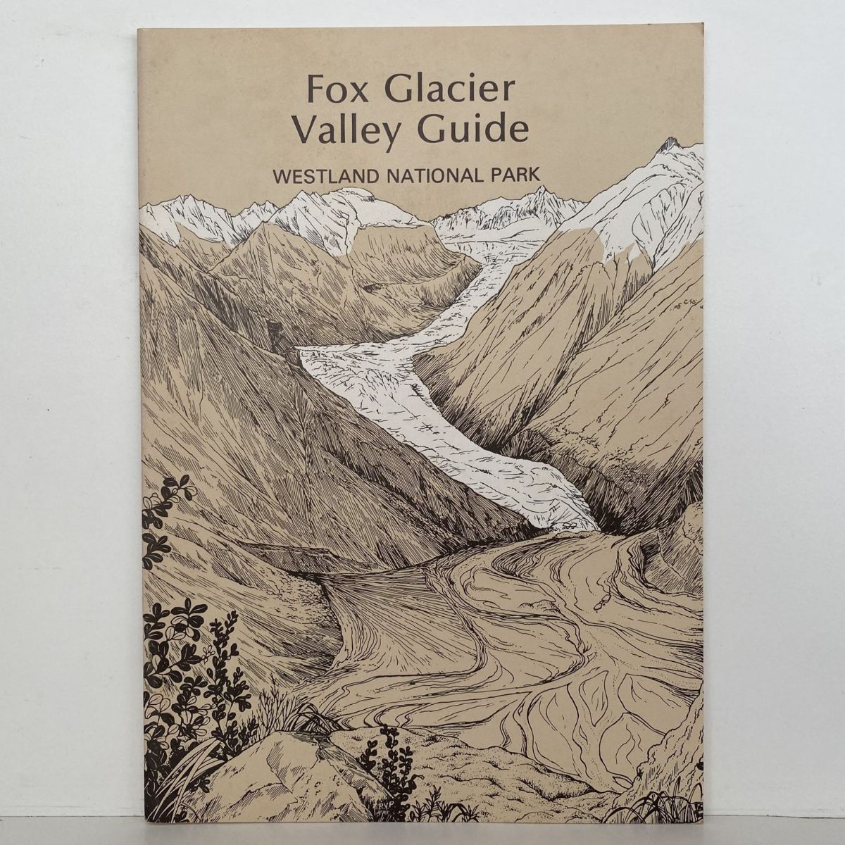 Fox Glacier Valley Guide - Westland National Park
