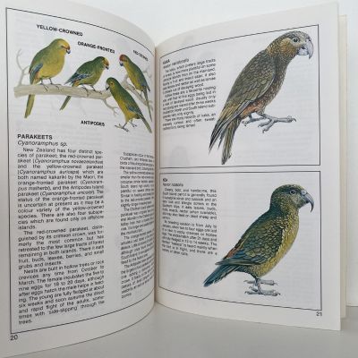 OUR WILDLIFE: New Zealand's National Wildlife Centre