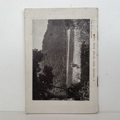 UNION STEAMSHIP COMPANY Pocket Guide to Company Services 1932