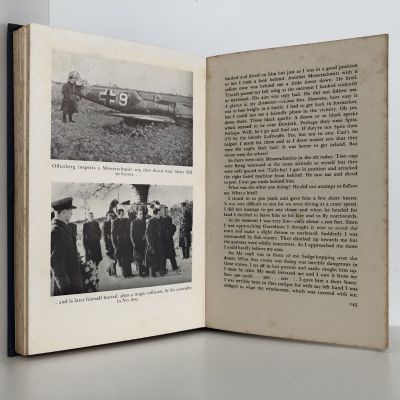 LONELY WARRIOR: The Journal of Battle of Britain Fighter Pilot Jean Offenberg