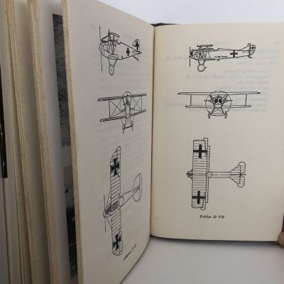 ACE OF ACES: The Combat Memoirs of the Leading Allied Aviator of WW1