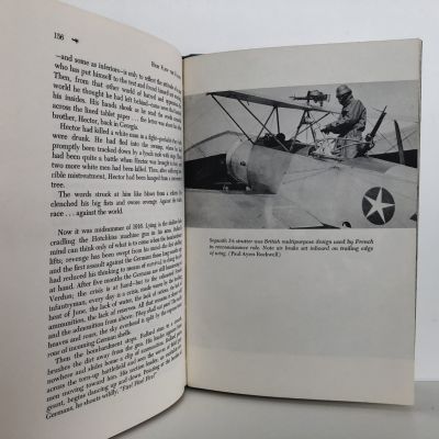 HIGH FLEW THE FALCONS: The French Aces of World War I