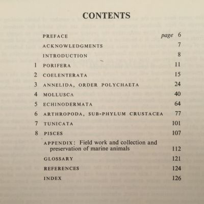 ANIMALS OF THE ROCKY SHORE of New Zealand
