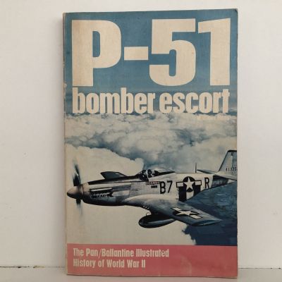 P-51 Bomber Escort