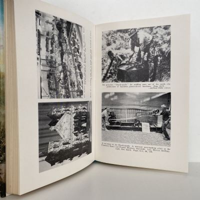 THE GUMDIGGERS: The Story of Kauri Gum
