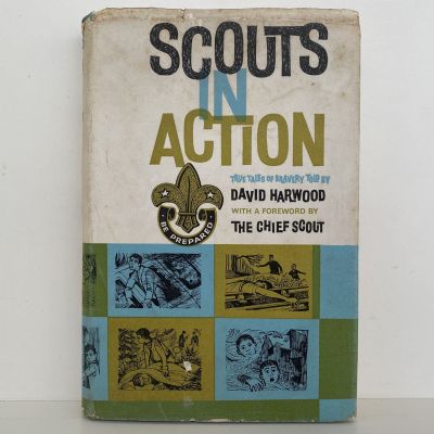 SCOUTS IN ACTION