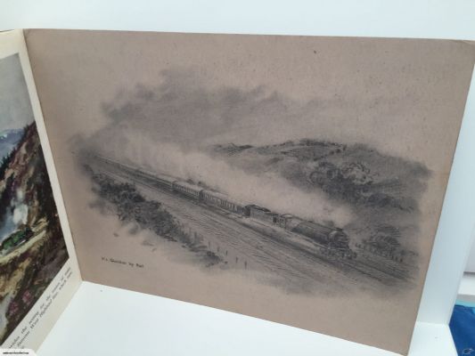 OUR TRAINS