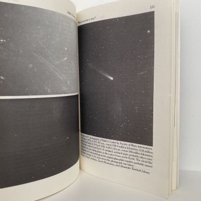 HALLEY'S COMET Over New Zealand